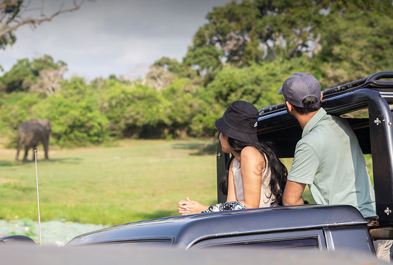Top Wildlife Photography Destinations in Sri Lanka