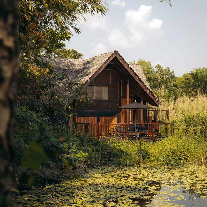Water Dwelling