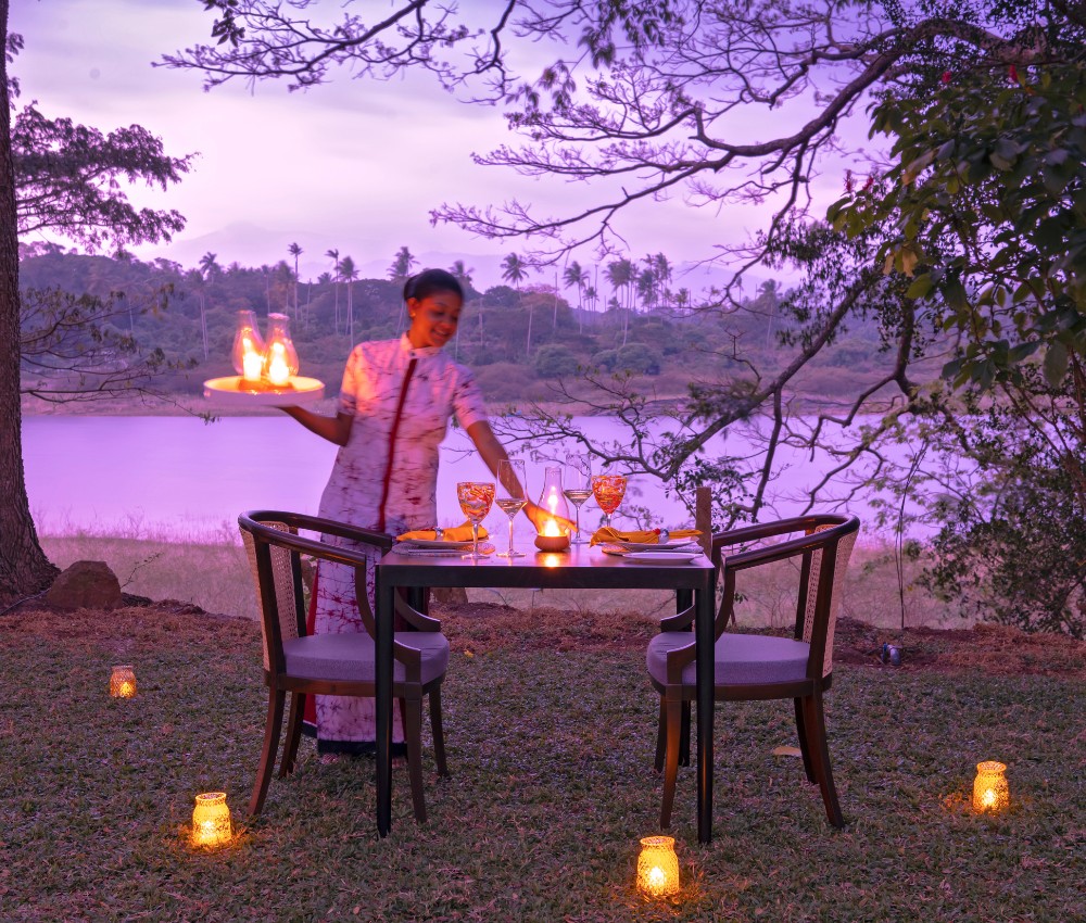 Lawn Dining