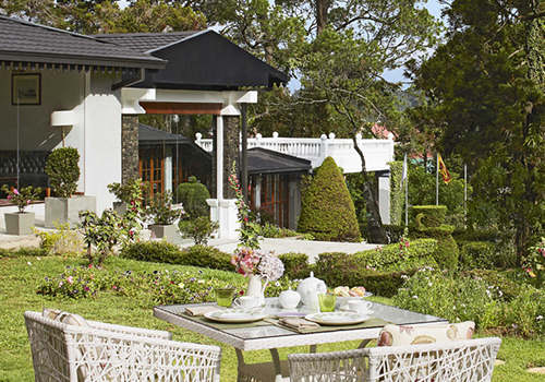 Alfresco Dining
