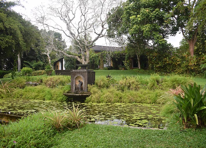 Brief Garden
