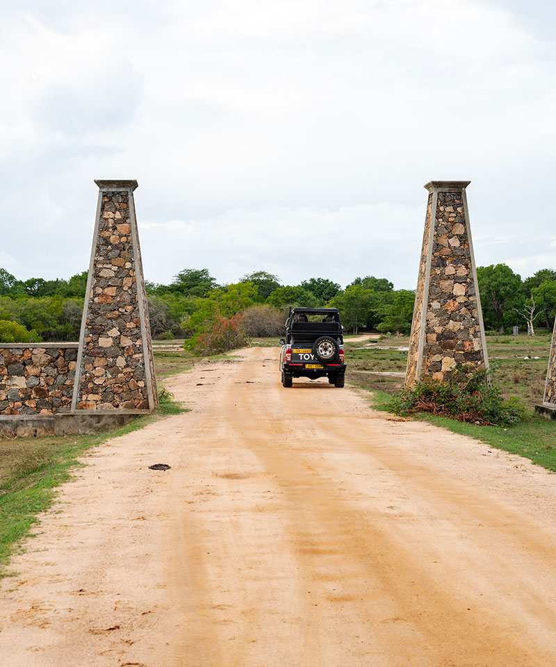 Kumana National Park Safari