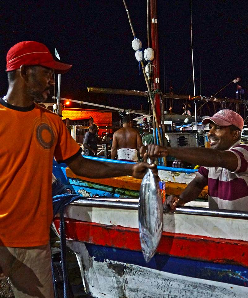 Lellama Fish Market