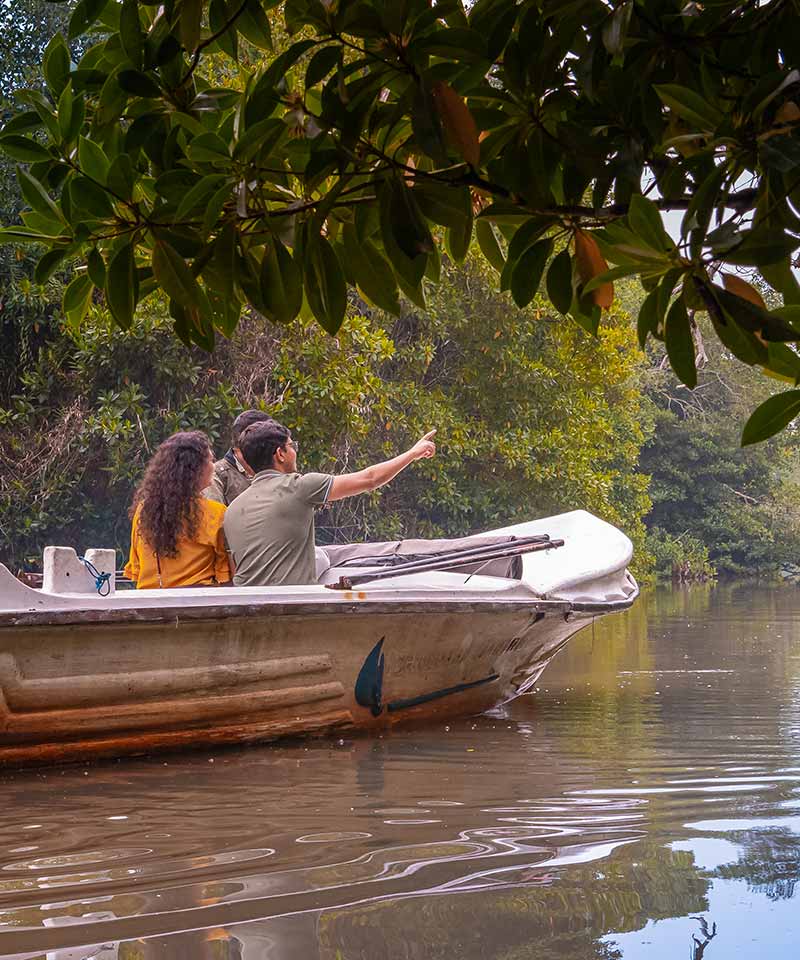 Maduganga River Safari