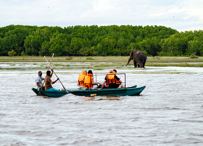 Pottuvil Lagoon Safari