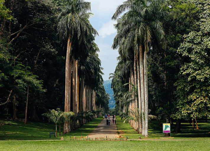 Royal Botanical Garden