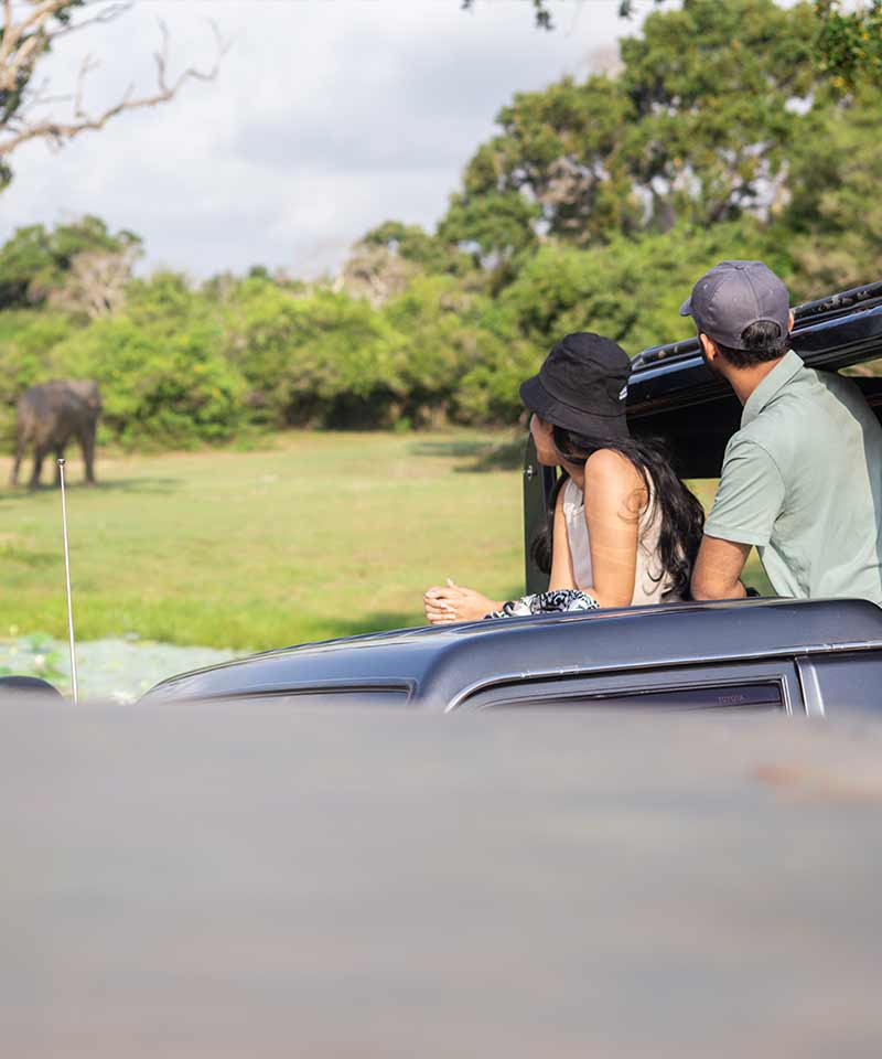 Yala National Park