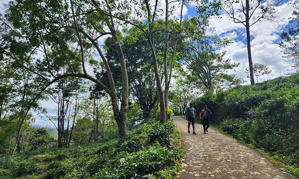 Nuwara Eliya