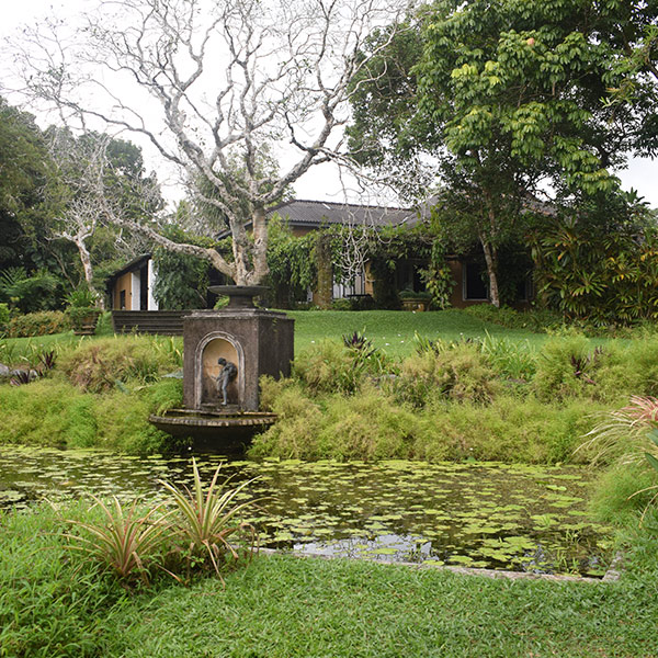 Brief Garden