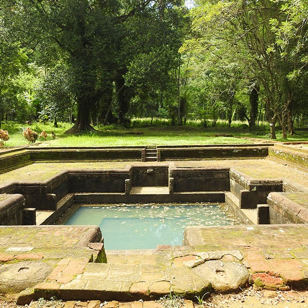 Galabedda bisa-pokuna