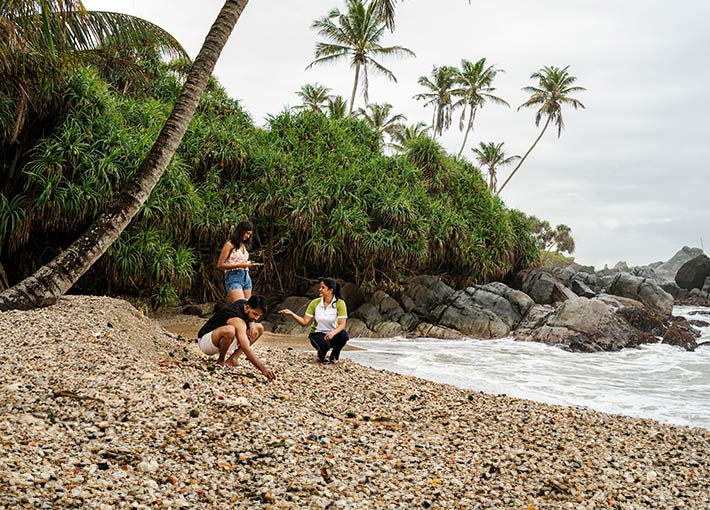 Sea Shore Trail
