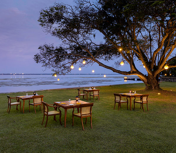 Signature Dining