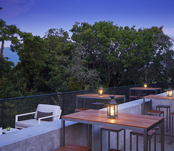 The Canopy Bar