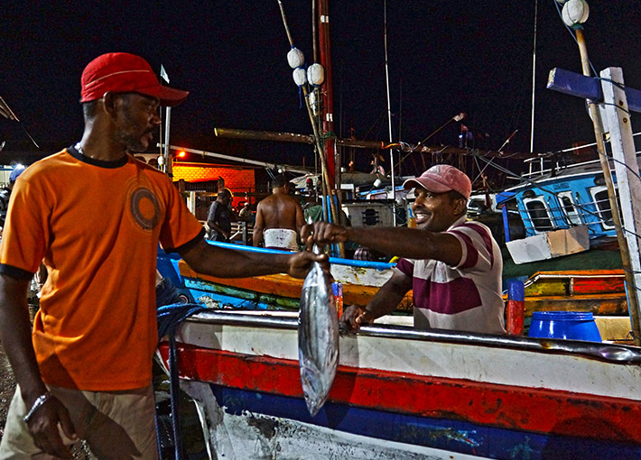 Lellama Fish Market