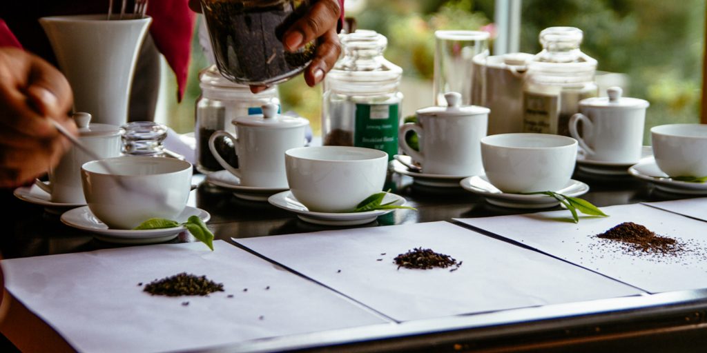 Tea Plantations of Sri Lanka Β» The finest teas you can grace a cup with