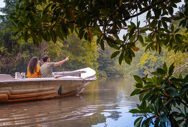 Best Places for Kayaking in Sri Lanka