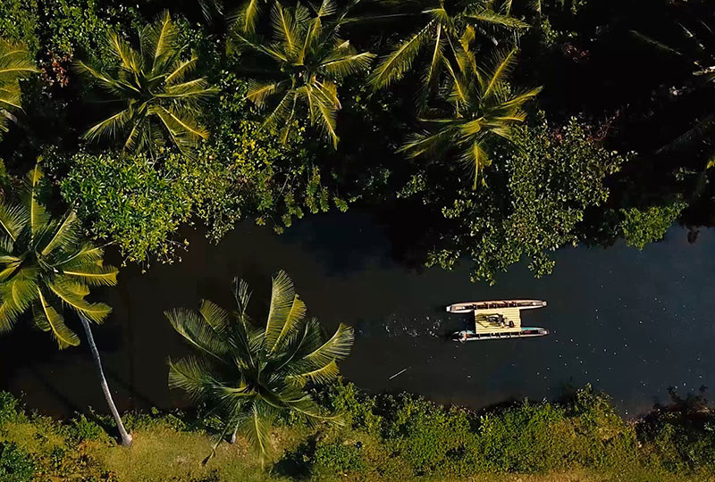 Bentota River Cruising: Explore Sri Lanka’s Stunning Coastal Waterways