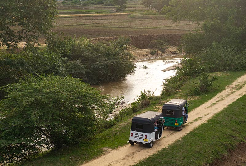 Exciting Day Trips from Colombo