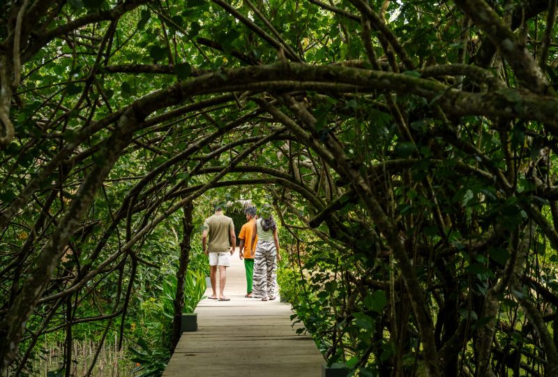 Jetwing Kurulubedda – Mind Relaxing Jungle of Birds