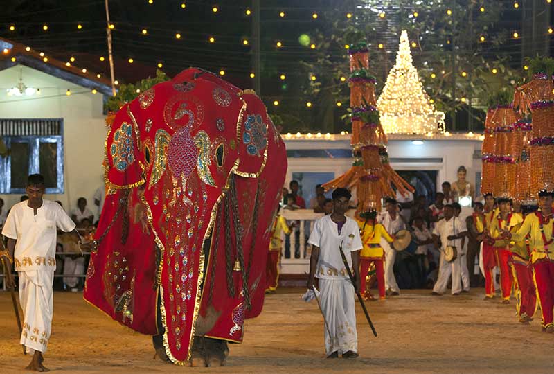 How Katharagama Perahera Unites Diverse Faith