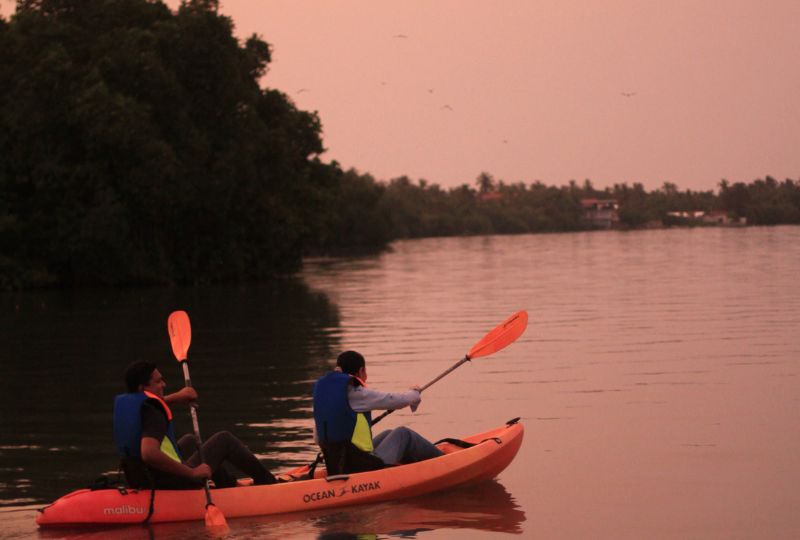 From Lifeguard to Lagoon Guide: Rohan’s kayaking nature tours