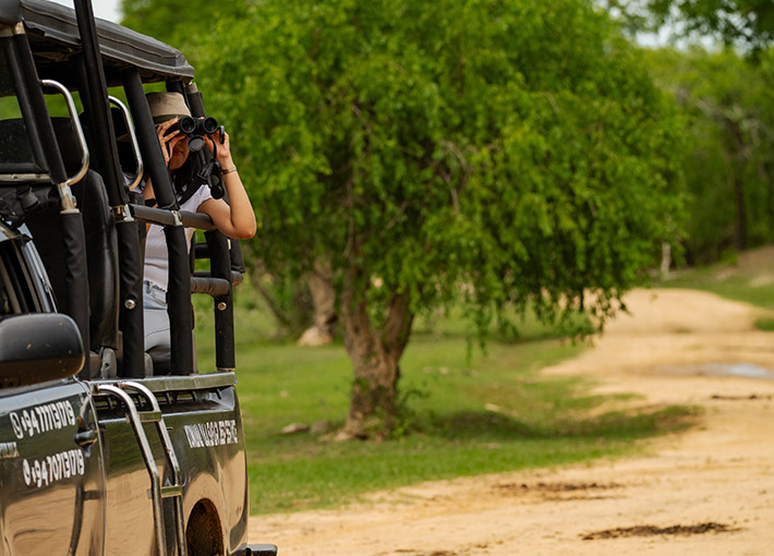 Wilpattu National Park