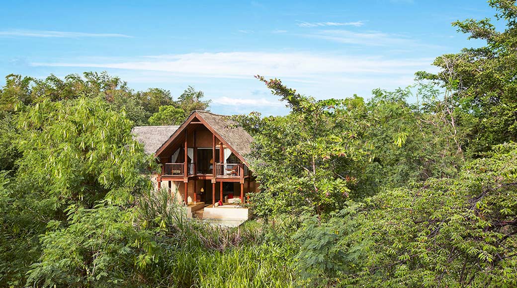 Forest Dwellings