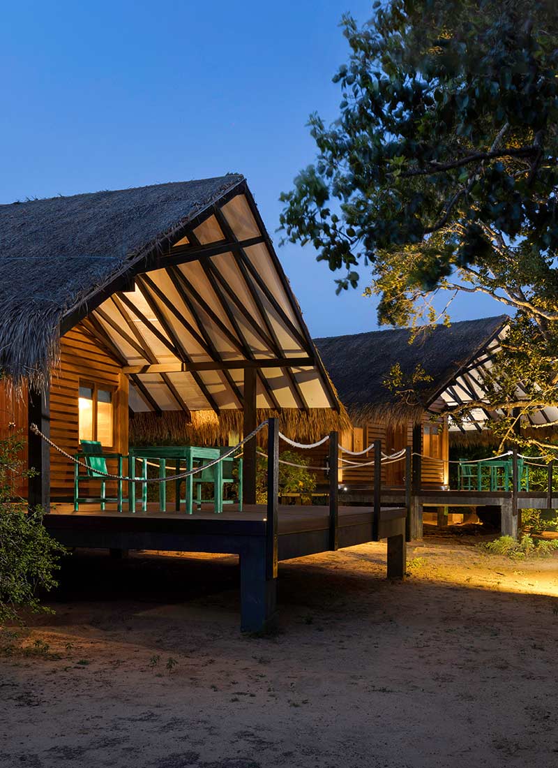 Jungle Dwelling