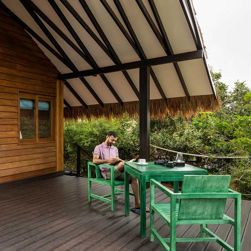 Jungle Dwelling