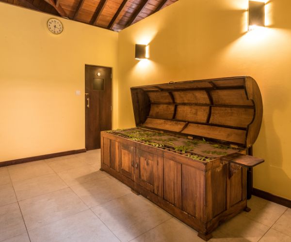 Wellness Packages