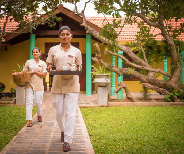Soft Ayurveda (3 days package)