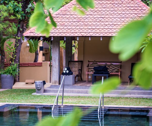 Purification and Revitalization (21 days package)
