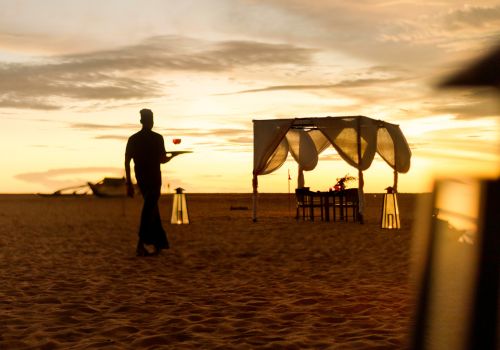 Dine Under The Stars