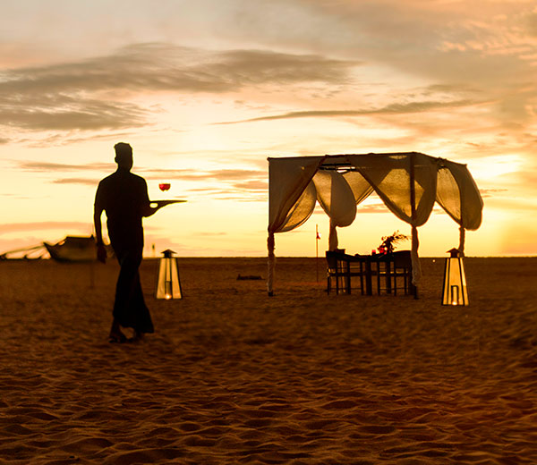 Signature Dining