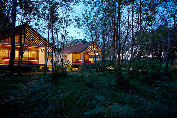 Deluxe Dwelling (Wel Vidana – Forest View)