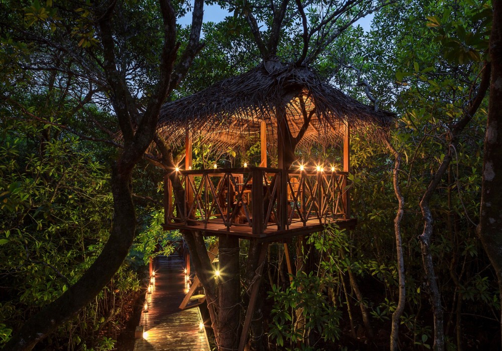 Treehouse Dining
