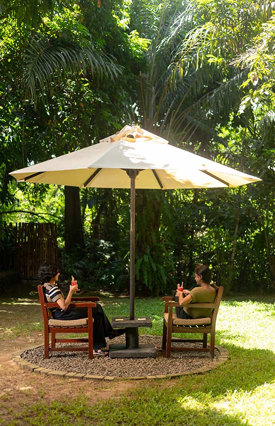 Creature Comforts in Lush Isolation