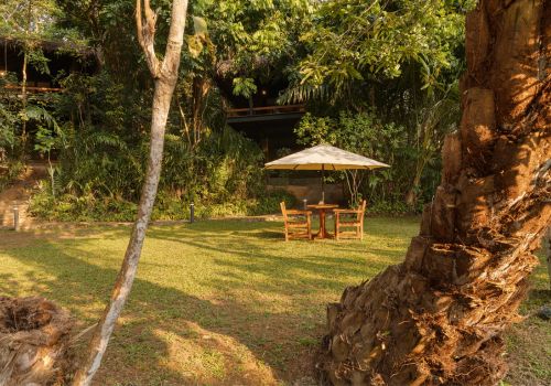 Garden Dining