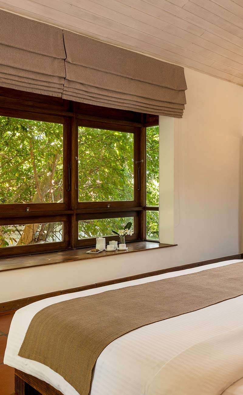 Garden Suite