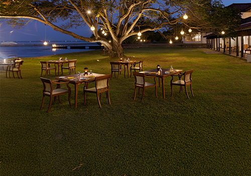 Garden Dining