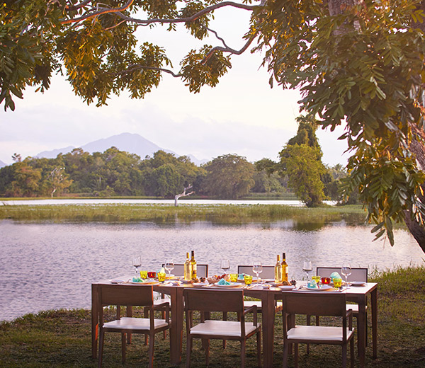 Signature Dining