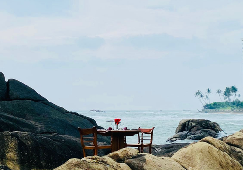 Among the Rocks