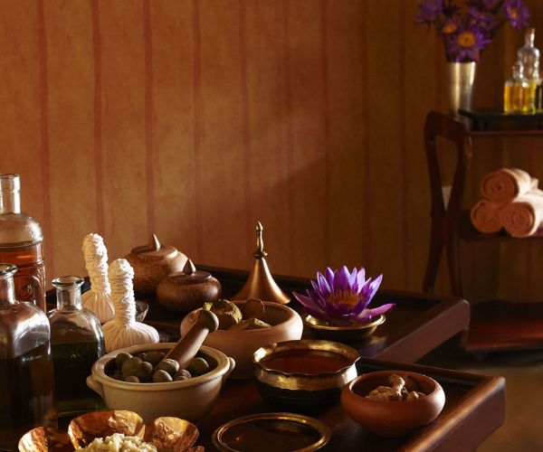 Ayurveda Traditions