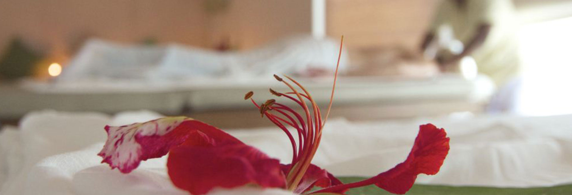 Flower in spa