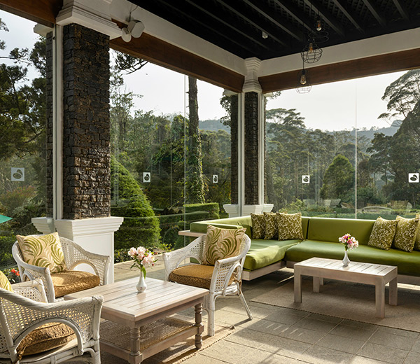 The Tea Terrace