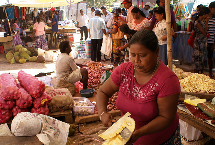 Lady at the market