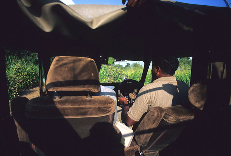 Wilpattu Safari