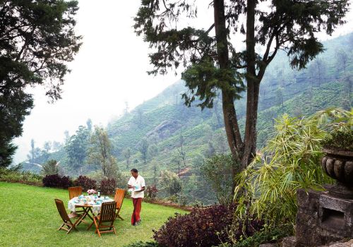 Alfresco Dining