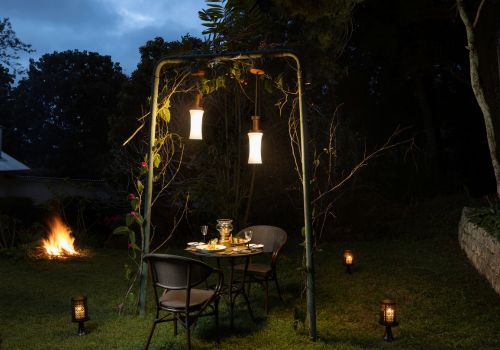 Bonfire Dining