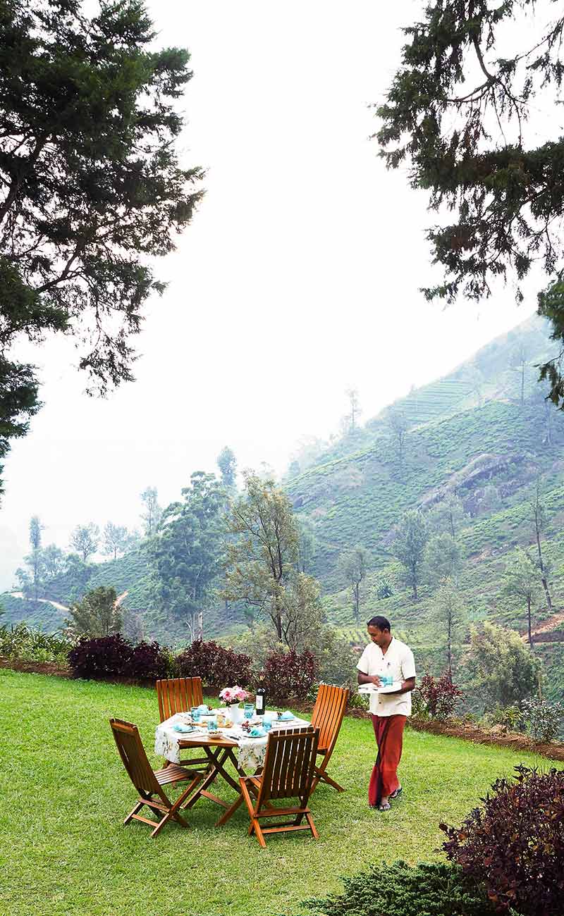 Signature Dining